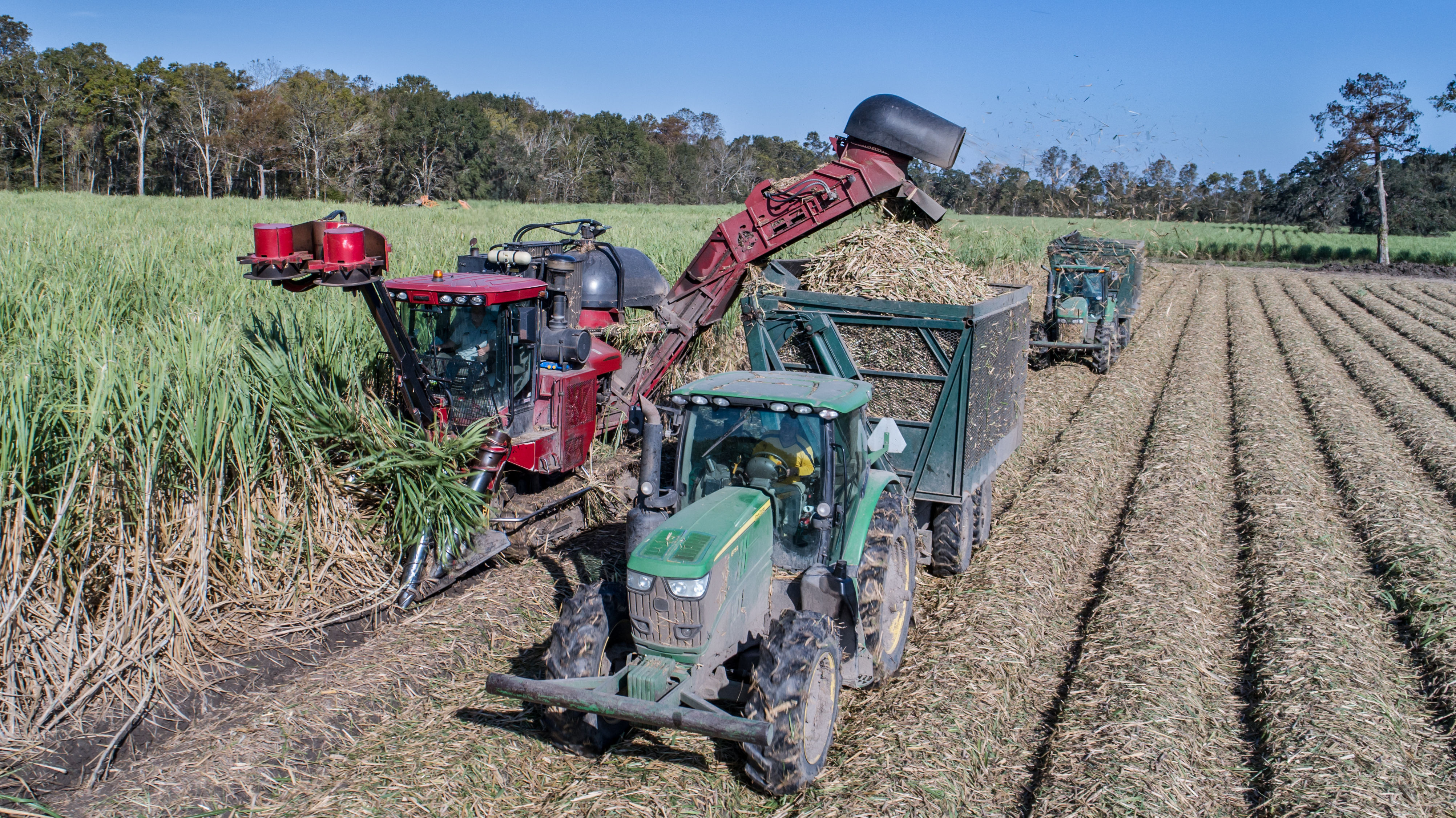 Sugarcane Harvest Aerial Photography